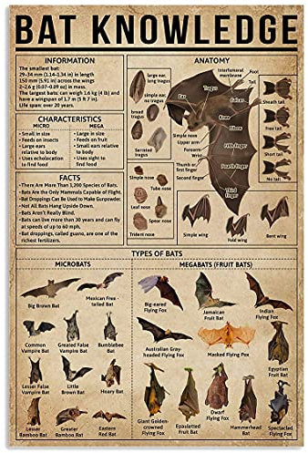 Bat Knowledge Poster Information Anatomie Art Metallschilder Raumdekoration Wissenschaft Bildung Bauernhof Club Wanddekor Retro Schild 30,5 x 45,7 cm