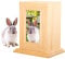 Holzbox-Urnen für Hunde, Asche – Holz, personalisierte Urnen für Asche – personalisierter Bilderrahmen, Haustier-Urnen, Gedenk-Andenken, Katze, Hund, Erinnerungsbox