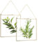 GBACHOOSE Lot de 2 Cadres Photo à Suspendre, 25 x 20 cm, Cadre Photo Mural Flottant en Verre et Laiton, Clip pour spécimen de Plante dorée Vintage, Support de décoration Vertical Moderne pour Cartes,