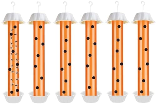Panngu Lot de 6 Grands pièges à Mouches pour l'intérieur et l'extérieur - avec Bandes adhésives - Défense Contre Les moustiques et Les Fruits - À Poser et à Suspendre