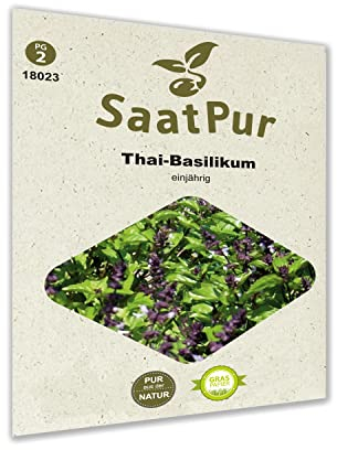 SaatPur Thai-Basilikum Samen für ca. 150 Pflanzen