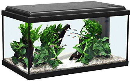 Aquatlantis Aquarienset Advance 60 LED, Schwarz