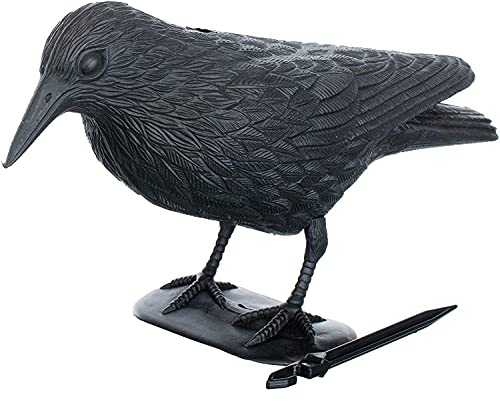 Schwarz Rabe, Taubenabwehr und Taubenschreck aus Kunststoff, Vogelabwehr, natürliche Schädlingsbekämpfung, Schutz vor lästigen Vögeln