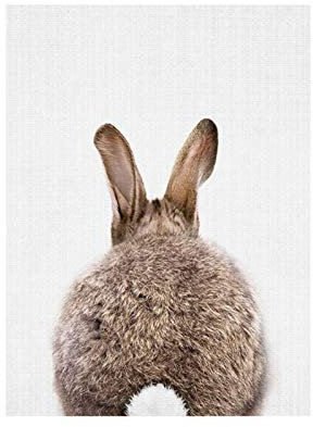 bdrsjdsb Niedlichen Tier Kaninchen Leinwand Poster Kein Rahmen Malerei Kunst Büroraum Cafe Wandbild 2# 20 * 25 cm