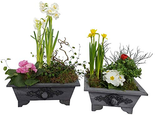 OF 2 Schubladen aus Holz im Vintage Stil - Blumentopf, Blumenkasten für Blumen und Kräuter im Set (Grau)