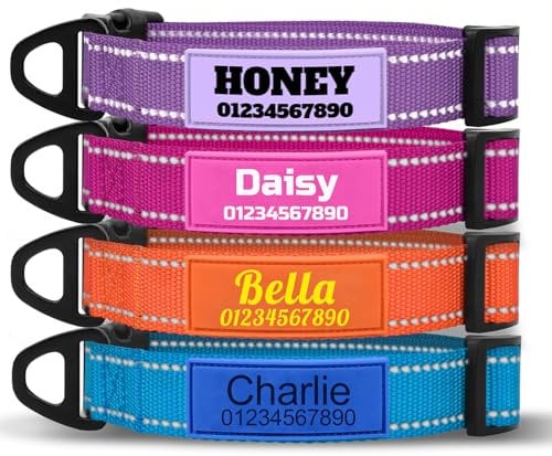 TagME Hundehalsband Personalisiert Mit Namen, Reflektierendes Hundehalsband Mit Weichem Silikon ID Namensschild, 4 Verstellbaren Größen Für kleine, Mittelgroße und Große Hunde, D-Ring Aus Stahl