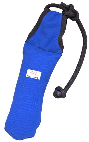 DOGS and MORE - Schwimmfähiges Apportierspielzeug 'Joggler' (Medium); Blau