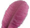 Sowder 10pcs Strauß-Federn 12-14inch (30-35cm) für Haupthochzeits-Dekoration (Rosa)