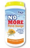 No More Pond Sludge 1kg (3 pots)