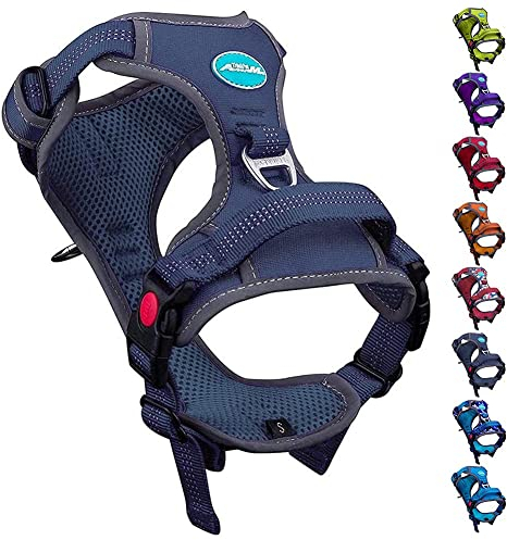 ThinkPet Anti Zug Hundegeschirr, Hundegeschirr mit Griff Leicht zu Kontrollierendem Hundegeschirr Verstellbar ohne Würgen Hundegeschirr Reflektierend Atmungsaktiv Gepolstert (S, Königsblau)