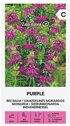 Zalia stotele | BÁLSAMO DE ABEJA - SEMILLAS MALVA | Semillas de flores | Semillas de plantas | Semillas de jardín | 1 paquete