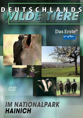 Deutschlands wilde Tiere - Im Nationalpark Hainich