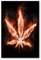 Postereck - 0454 - Hanfblatt, Flammen Hanf Kiffen Feuer Rauchen Cool - Kunst Wandposter Fotoposter Bilder Wandbild Wandbilder - Poster - 4:3-61,0 cm x 45,5 cm