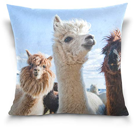 Linomo Kissenbezug 40x40 cm, Lama Alpaka Dekorative Kissenbezug Kissenhülle für Couch Sofa Bett Hause