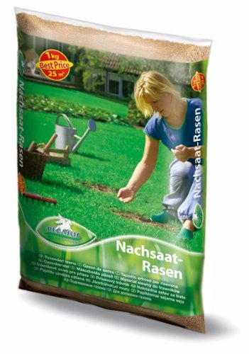 Rasenmischung, Pegasus Nachsaat, Inhalt: 1kg für ca. 25 m², schnell und leichter Lückenschluss - auch ohne Umgraben