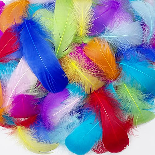 500PCS Small Craft Feathers Rainbow Assorted Colors Bulk 2-3Inch Soft Goose Feather for Kindergarten Crafting Baby Shower Wedding Birthday Party Decoration Balloons Ornament