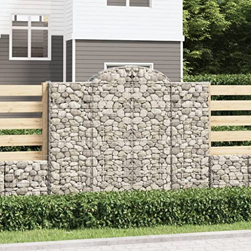 Youuihom Fioriere Da Parete Letto Per Orto Orto Rialzato Orto Terrazzo Fioriere Cesto Gabbione ad Arco 200x50x160/180 cm Ferro Zincato Adatto per Patio, giardini, balconi, esterni