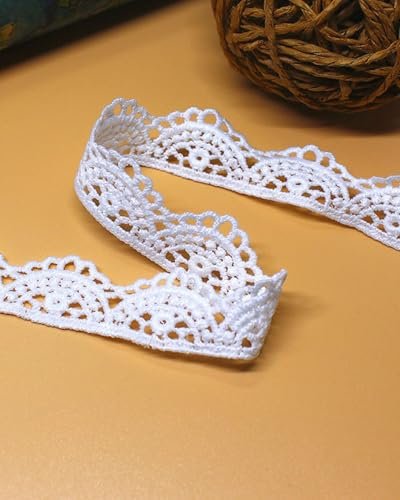 LEEQ 5 Yard Weiß 2.5cm Baumwolle spitzenband Vintage Häkelband Spitze Borte Häkelspitze Häkel-Borte Spitzenband für Nähen Handwerk Hochzeit Deko Scrapbooking Geschenkbox