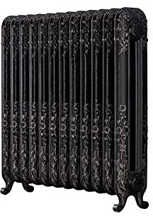 The Daisy 794 Vertical Cast Iron Radiator 12S Silver Highlight 794 x 814