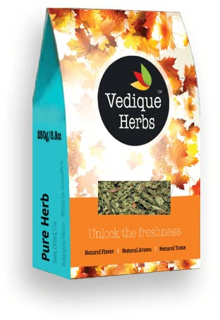 VEDIQUE HERBS Bharangi (Clerodendrum serratum) - 250g (8.8oz) | Raw, Crude, Dried | T-Cut | Premium Grade
