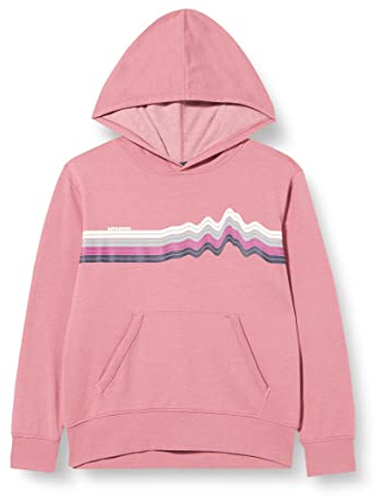 Patagonia Jungen K's LW Graphic Hoody Sweatshirt top, Ridge Rise Stripe: Light Star Pink, M