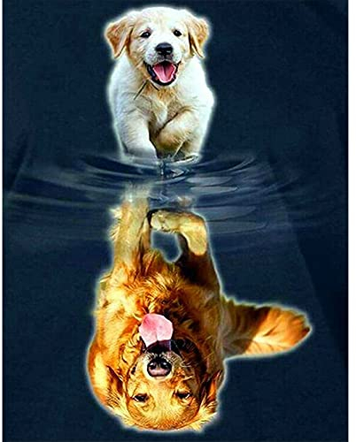 DCIDBEI Diamond Painting Quadratische Steine 40x50 cm Square Drill Diamond Painting Hundewelpen Diamond Painting Hund Golden Retriever Hund Spiegelbild Diamond Painting Eckige Steine Mosaik Painting