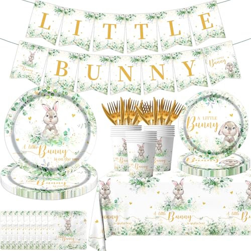 Easter Bunny Baby Shower Decorations A Little Bunny is on the Way Disposable Paper Plates Napkins Cups Tablecloth and Banner Sage Green Rabbit Tableware for Spring Baby Shower Decorations, Serve 20