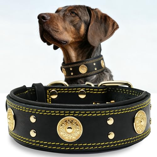 Hundehalsband Leder 5 cm Breites,Handgefertigt Weich und Luxuriös,SW-GD L | Robustes Echtes Lederhalsband, Auffällige Beste Wahl für Große und Mittelgroße Hunderassen, 57,5-67,5 cm