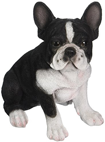 Hi-Line Gift Ltd. Dekofigur Französische Bulldogge