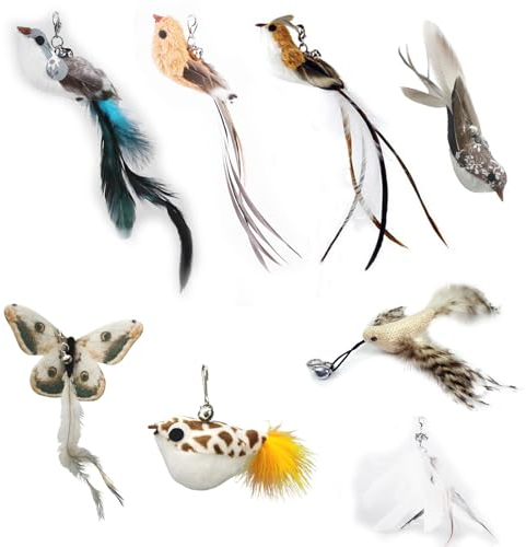 YIDM Katzenspielzeug Feder Katzenangel Ersatzfedern: 8 Stück Interaktives Katzenspielzeug Feder mit Glocke, Katzenangel Ersatzfedern, Katze Spielzeug Interaktives Feder Intelligenz Spielzeug