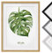 Bild mit Rahmen - Aquarell Botanik Monstera - Rahmenfarbe Eiche, 70 x 50 cm