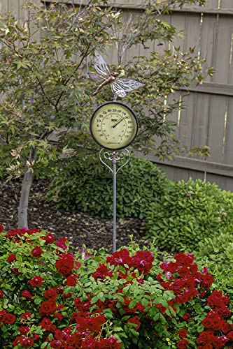 Poolmaster Thermomètre d'extérieur 54583 sur piquet de jardin, libellule, multicolore