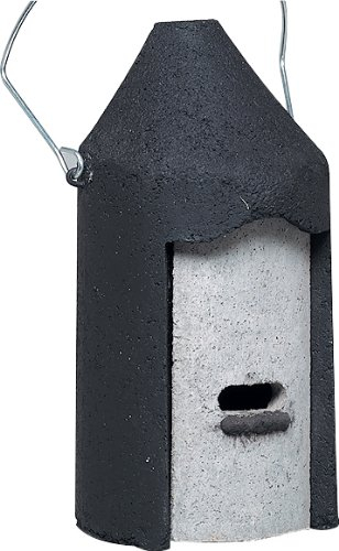 Fledermaushöhle 2 F 16x33 cm