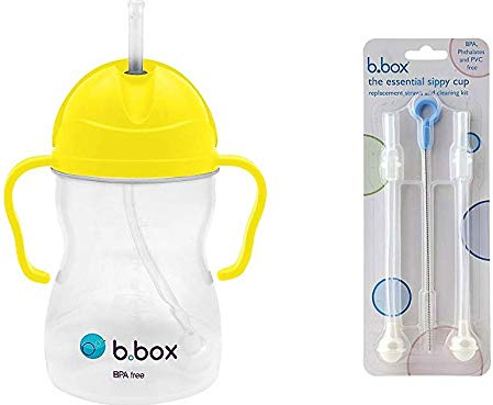 B. Box Essential - Bicchiere con cannucce di ricambio e detergente