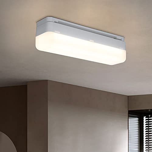 CBJKTX Luz de Techo LED y Pared 13W 4000K - Iluminación para Cocina, Garaje, Gabinete, Sótano, Escalera - Lámpara Pequeña 20CM