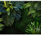 decomonkey - Papier Peint Panoramique Palmiers 350x256 cm - Décoration murale moderne – Tapisserie décorative pour chambre salon - Jungle feuilles nature nuit plantes tropical