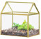 NCYP 15,5x11x16 cm Piccolo terrario in vetro fatto a mano con coperchio oro a forma di casa per piante, fioriera decorativa da giardino, centrotavola geometrico (senza piante, non a tenuta d'acqua)