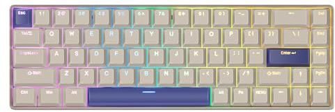 DrunkDeer G65 Rapid Trigger Tastatur Mechanische Magnetschalter Kirsche Profil PBT Tastenkappe Doppelschuss Gaming Tastenkappe Benutzerdefinierte