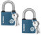 Invalidism 2 candados de hierro con 3 llaves, candado de 38 mm para exteriores, resistente a la intemperie, candado de seguridad para cobertizo, almacén, valla, garaje, jardín, gimnasio, taquilla