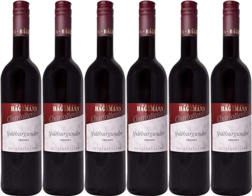 Hagemann Spätburgunder 2023 Trocken (6 x 0.75 l)