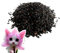 Semilla Orquídea Cara Gato, Semillas Flores Cara Gato 100 Piezas, Novedosa Fuertes Fragancia Semillas Orquídeas, Plantas Macetas Orquídeas Lindas, Para Salas Estudio Dormitorios Hogar