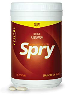 Spry Natural Xylitol Chewing Gum - Cinnamon, 550 Count - Pack of 1 | Aspartame-Free, Sugar-Free, Vegan, Non-GMO, Gluten-Free for Cavities, Bad Breath Freshening, Dry Mouth, Dental Defense System