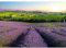 Runa Art Papier Peint panoramique Provence Paysage Nature 352 x 250 cm Toison Mur XXL Moderne Décoration Murale Salon Chambre á Coucherr Bureau Salle vert Beige 9022011b