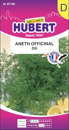Graines d'Aneth Officinal Dill, 1 gramme
