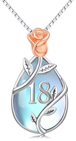 Midir&Etain 18 Year Old Girl Birthday Gifts / 18th Birthday Gifts for Girls Daughter 925 Sterling Silver Rose Flower Moonstone Pendant Necklace for Women Christmas Anniversary Graduation Jewellery
