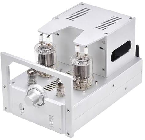 Bluetooth Audio Amplifier, HiFi Valve Amplifier with Volume Control for Home Passive Speakers and Desktop Audio Systems