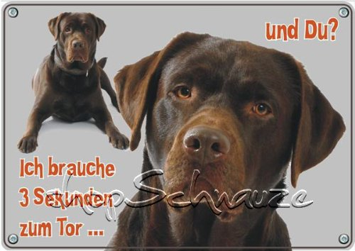 Petsigns Hundeschild brauner Labrador -TOP Metallschild - wetterfest und uv beständig, DIN A5
