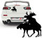 Kopulierende Elche Norwegen Schweden Aufkleber Fun Sticker lustige Tiermotiv Autoaufkleber Tattoo |KB230V2