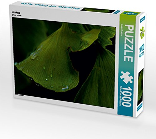 CALVENDO Puzzle Ginkgo | 1000 Teile Lege-Größe 64 x 48 cm Foto-Puzzle für glückliche Stunden