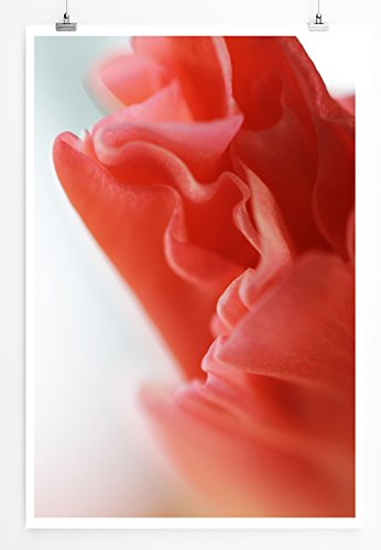 Eau Zone Bilder - Naturbilder – Rote Gladiole- Leinwand Kunstdrucke Wandbilder aus Deutschland